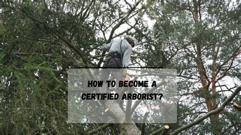 how hard is the arborist test|certified arborist lookup.